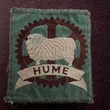 Vintage Scout Badge From Hume