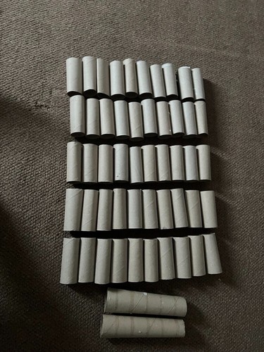 Empty toilet paper rolls - 50,