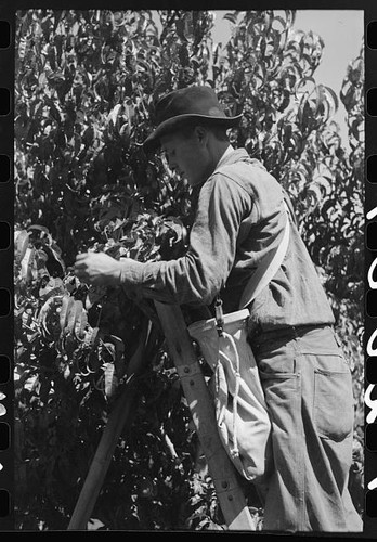 Photo delta county colorado - county,
