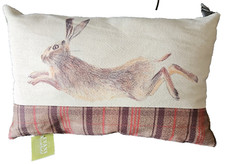 Evans Lichfield Hunter Leaping