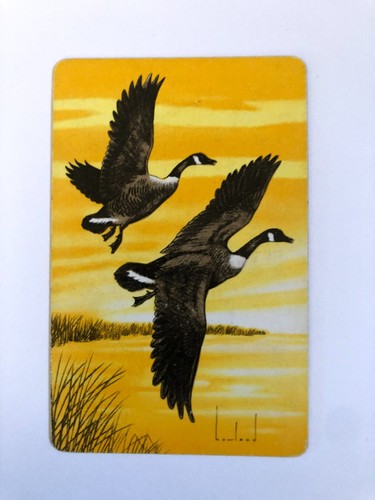 Flying ducks artist artwork - ducks,