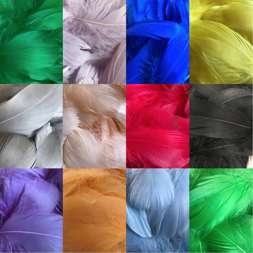 100 solid coloured - coloured, feathers
