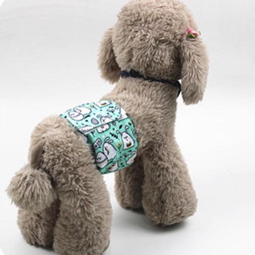 White rabbit male dog - white,