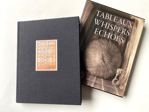 Tableaux whispers echoes - tableaux,