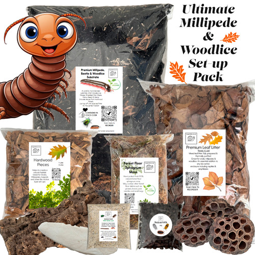 Ultimate millipede woodlice - millipede, &