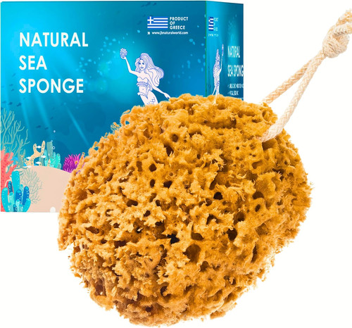Natural sea sponge - natural,