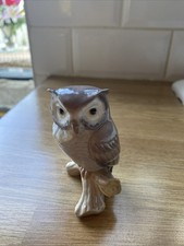 LLadroBeautiful Owl Ornament