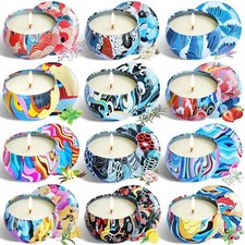 4,8,12 PCS Scented Natural Soy