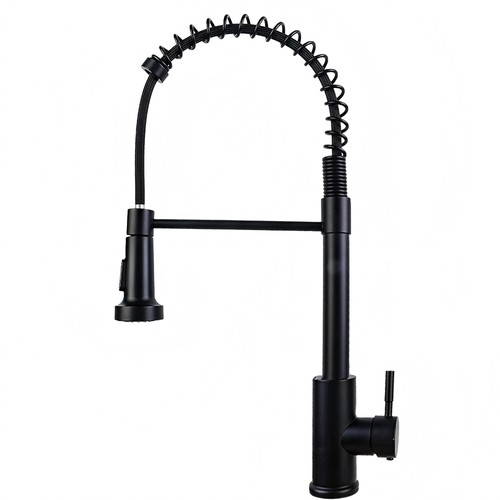 Kitchen faucet with pull down - with,