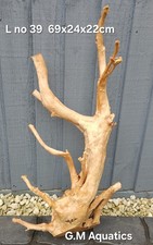 Red moor / Azalea wood L No 39  69x24x22cm