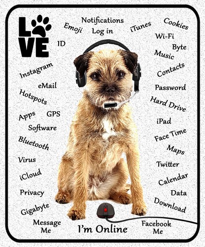 Border terrier dog lovers - terrier,