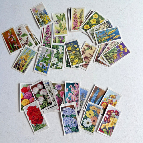 Cigarette cards joblot - -, wild