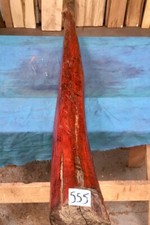 Snakewood Full Log / High