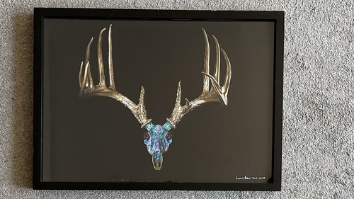 Lauren baker deer print - lauren, head