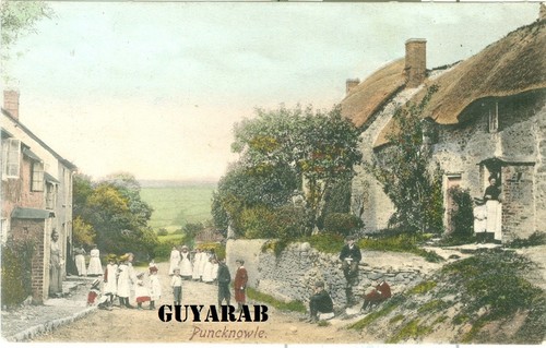 Puncknowle bridport - puncknowle, nr.