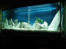 Aquarium Stone Slate Fish Tank