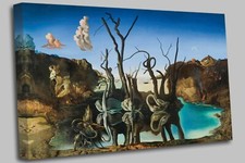 Salvador dali swans - salvador,