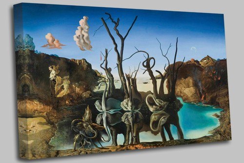 Salvador dali swans - -,