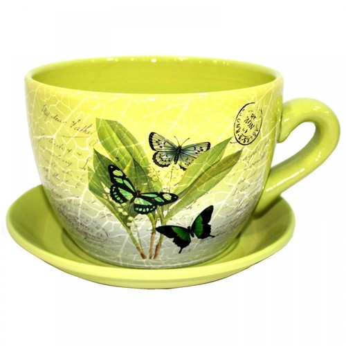 Giant green butterfly - green, leaf