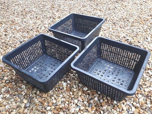 19cm square aquatic - 19cm,