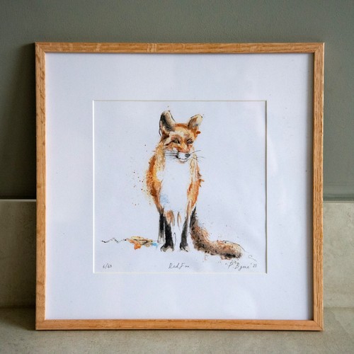 Red fox animal foxes - animal,
