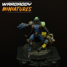 Pro Painted Warhammer "The