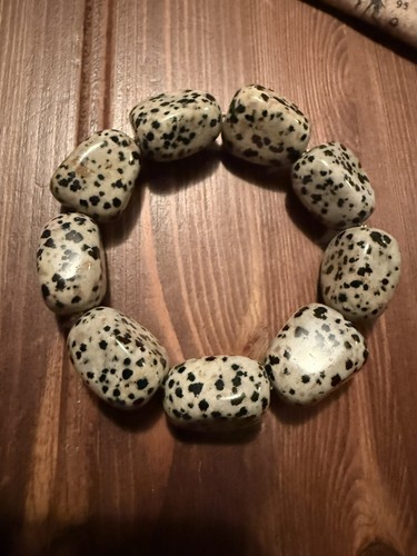 Lola rose dalmatian - lola,