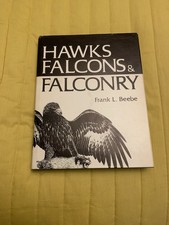 Hawks Falcons And Falconry