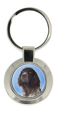 German Longhaired Pointer Key