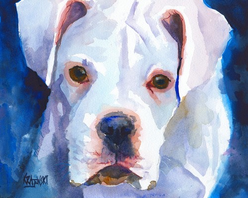 Boxer high resolution - resolution, of