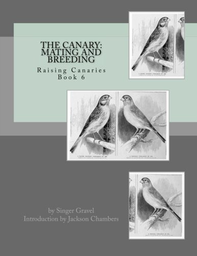 The canary mating - the, canary: