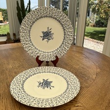 Pair Royal Victoria Rose bouquet ironstone dinner plates 9 3/4" Excellent Cond