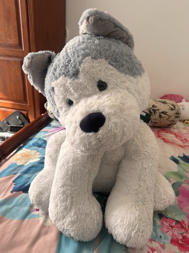 Giant husky dog plush fluffy - husky,