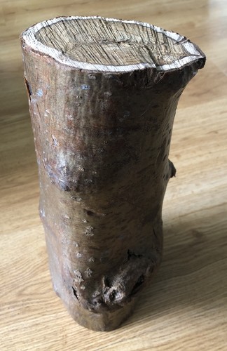 Laburnum wood turning log - laburnum,