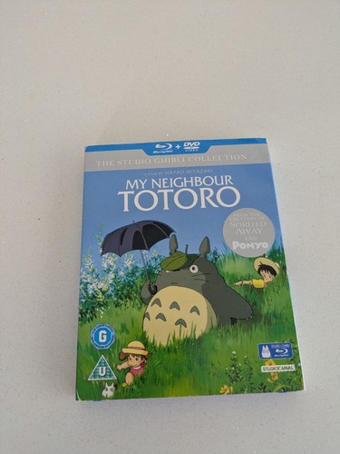 Neighbour totoro 1989 - my,