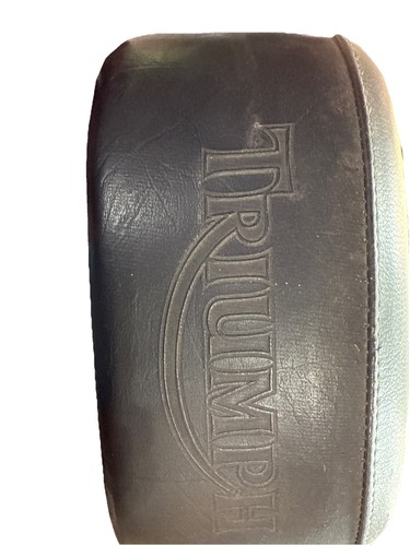 Triumph thunderbird 900 - triumph,