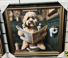 Black & Gold step frame Cocka