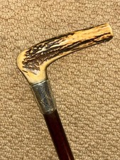 Antique Snakewood Walking