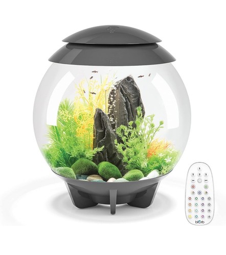 Biorb halo aquarium with - halo,