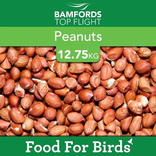 Bamfords premium grade pale - bamfords,