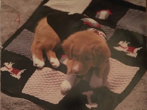 Dog coat jumper knitting - dog,
