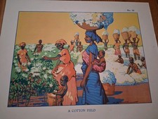 Macmillan Vintage Educational Poster 1930's No 78. A Cotton Field. D Newsome