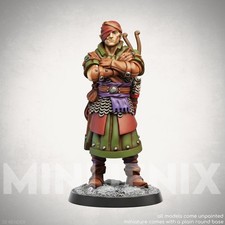 ELF ROGUE BANDIT Fantasy DnD