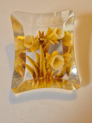 Vintage lucite brooch - vintage,