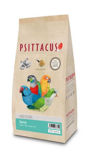 Psittacus parrot handfeeding - psittacus,
