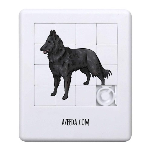Belgian shepherd dog sliding - 'belgian, dog'