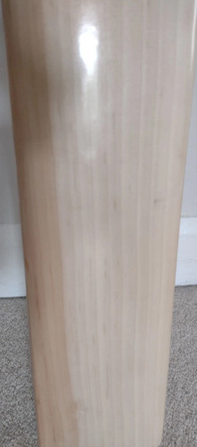 Newbery zeus player - player, cricket