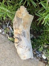20cm CHUNKY DRIFTWOOD BRANCH