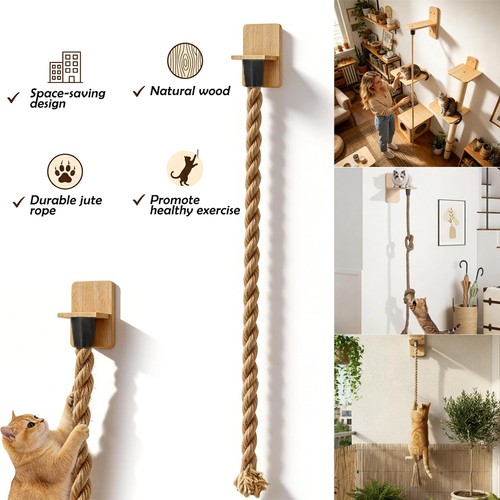 Cat wall mounted - cat,