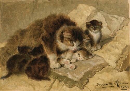 Henriette ronner knip - henriette,